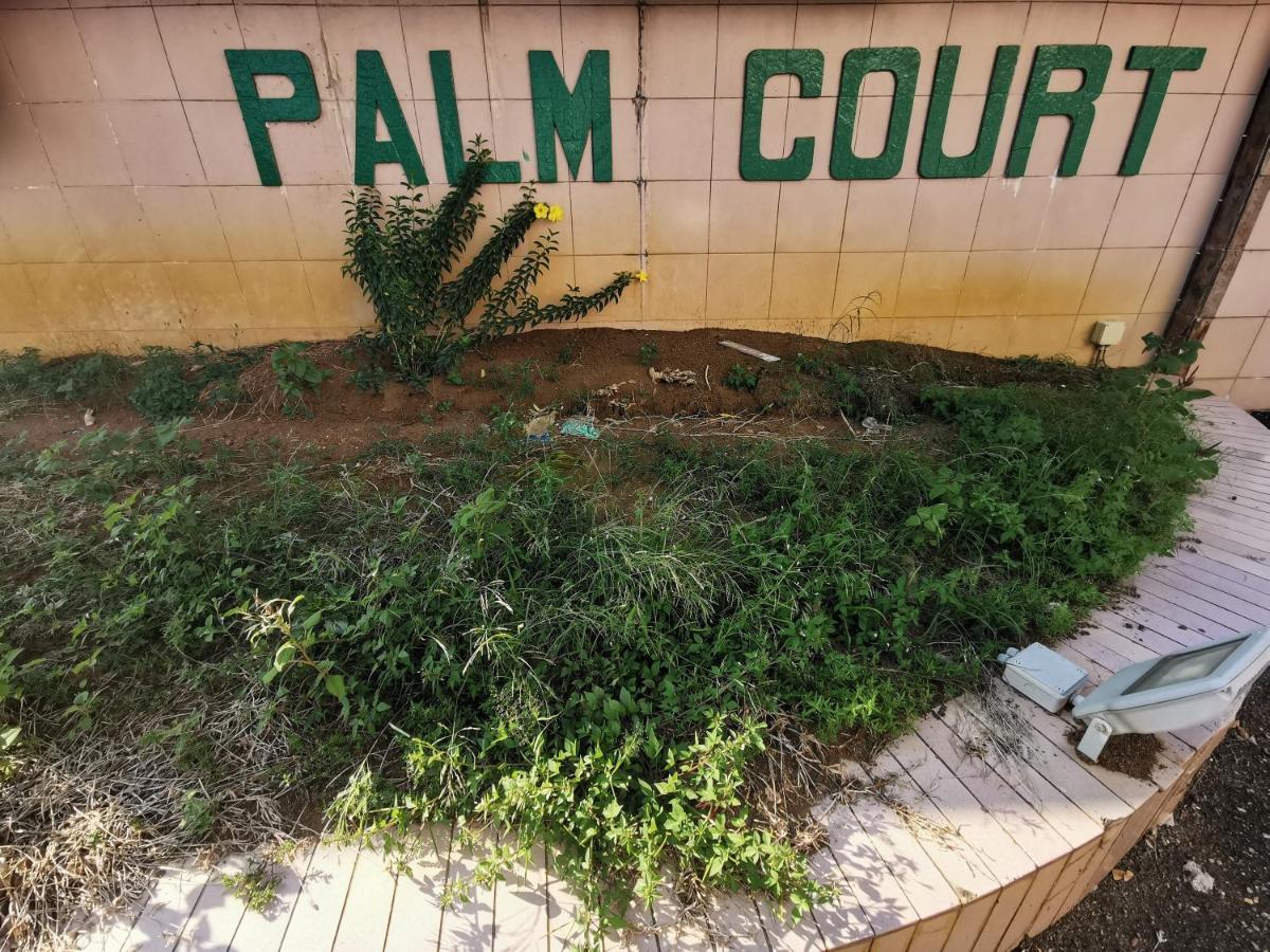 Diy Palm Court Bedroom Kuantan Kültér fotó